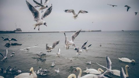 Ранкові звички, які змінили мій графік