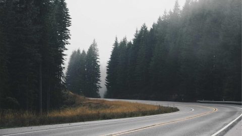 Книгарня «Сторінка»